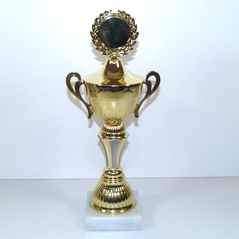 Vario Pokal gold-grau 36cm