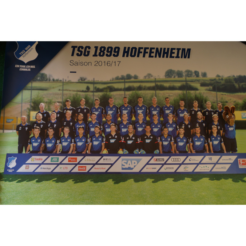 TSG 1899 Hoffenheim Mannschaftsposter 2016/17