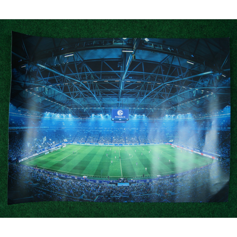FC Schalke 04 Poster 40x 30 cm